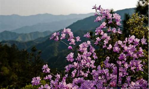 湖北黄梅_湖北黄梅天气预报